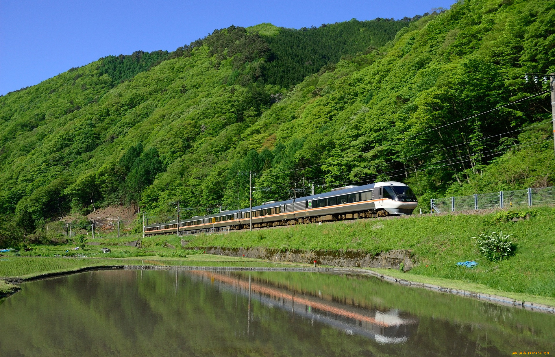Купить воду в поезде. Ойта, Япония лес поезд. Железнодорожная вода. Поезд обои. Поезд на воде Япония.